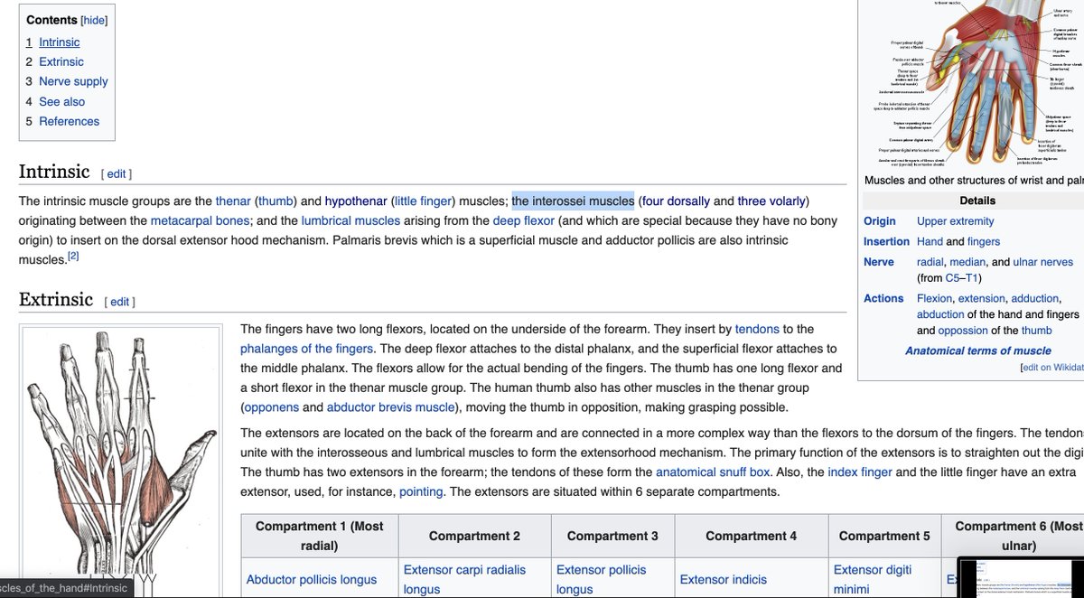 The exercise I'm doing is requiring crazy abduction in the muscles of the fingers. I just learned that there are two sets of muscle groups in the hand: extrinsic and intrinsic The interossei muscles seem to be the key intrinsic ones. Not sure about extrinsic.