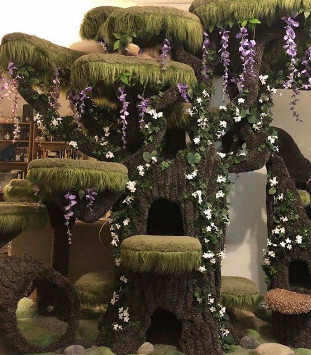 glitterrbatt's tweet image. I would spoil my cats like this