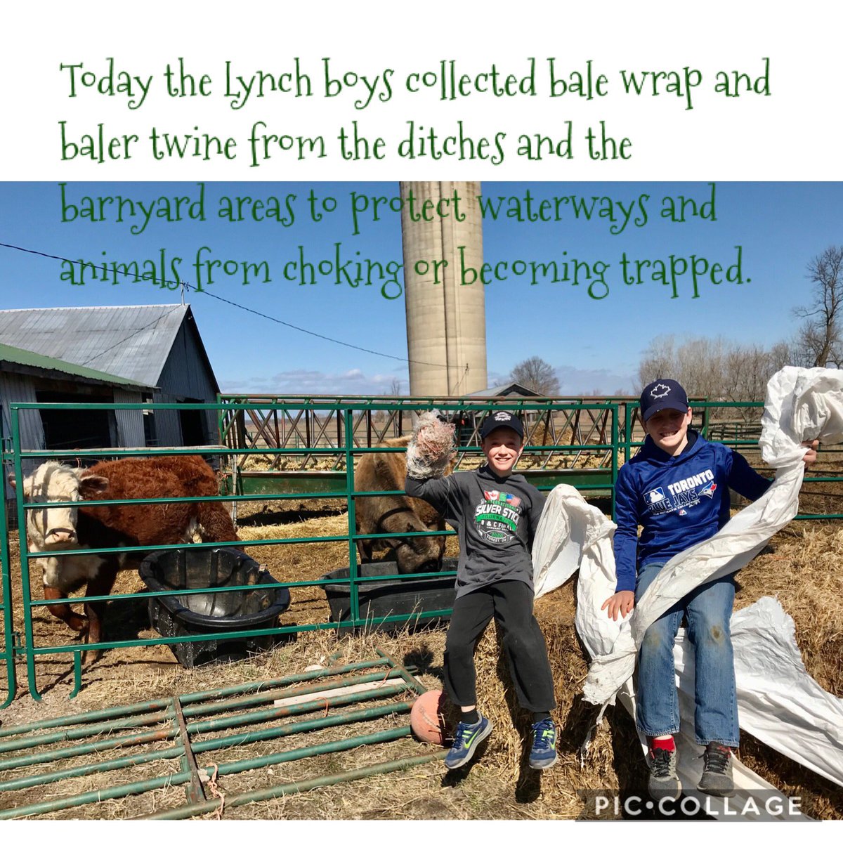 Owen and Jack helped to clean the ditches and barnyard area to make sure no animals, plants or crops would be hurt or damaged by baler twine or wrap. 🌱🐂 #doyourpart #loveourearth #EarthDay50 #EarthDayatHome #SMSProud 🌎