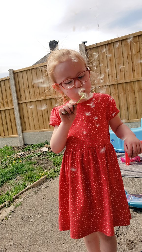 gemroseh's tweet photo. Dandelions! @MeynellSchool https://t.co/A5ja8YFfG9