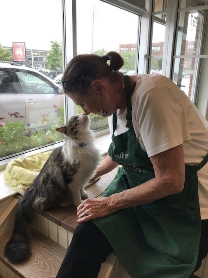 PAWSChicago's tweet image. At the Lincoln Park Adoption Center (LPAC), volunteers do it all. They process volunteer applications, create adoption counseling materials, help find homes for animals with our ComPETibility system, &amp;amp; so much more.
 
Thank you, LPAC volunteers!
#NationalVolunteerAppreciationWeek