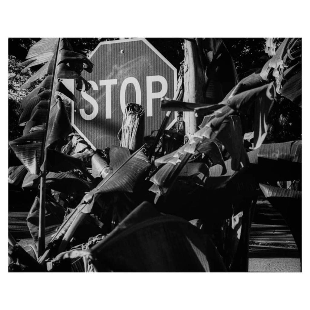 brandtimages's tweet photo. -
Kodak Tri-X 400 / Nikon F3
_
_
_
#filmphotography #filmisnotdead #believeinfilm #filmcommunity #filmfeed 
#kodaktrix400 #boxspeedfeature
#35mm #film #heyfsc #ishootfilm #filmshooterscollective #restorefrombackup #analogphotography #thefilmstead #madewi… https://t.co/Dxbdmo7EGz https://t.co/jeUkHBVpHY