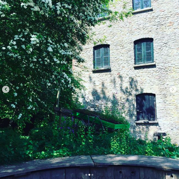 secretgardenweb's tweet photo. Absolutely loving the new #hedgehoghouse #cairn that’s been built @millwillsbridge 🐞🕸🐝 They’ve also dug up the #archimedesscrew which used to be part of the old #ironmill works #lovehistory #wildlifehabitat #lovenature #fairywoodland #fairygarden https://t.co/uYhyoBAgSw