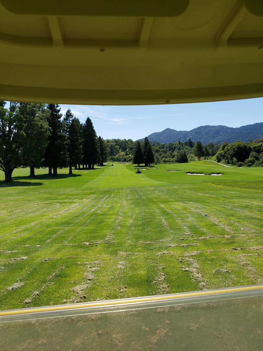 KevinHauschel's tweet photo. Loving the backtrack mow of fwys #nostripes #augustastyle #simple They are looking like carpet, taking a lot of grass off them. Primo, fert, and turf screen going out next week. Wetting agent went out this week, irrigation season is in full effect in Northern California!@RPMTurf https://t.co/JlS5eRSr5Z