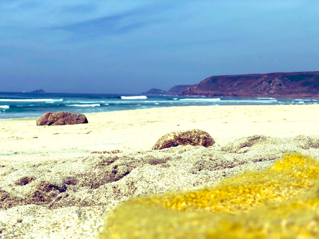 smartsurfschool's tweet image. Some vitamin sea today #sennen #smartsurf