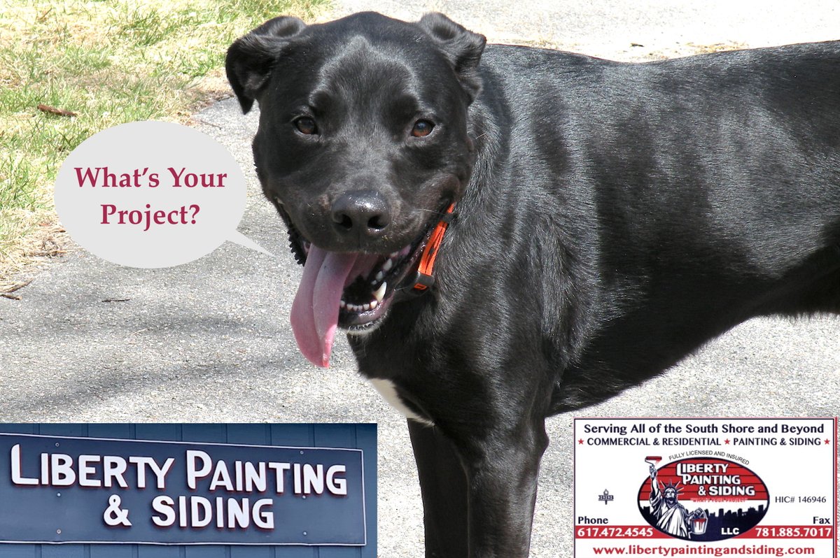 Liberty_PS's tweet image. #libertypaintingandsiding #springdogs #dogsoftwitter #southshorema