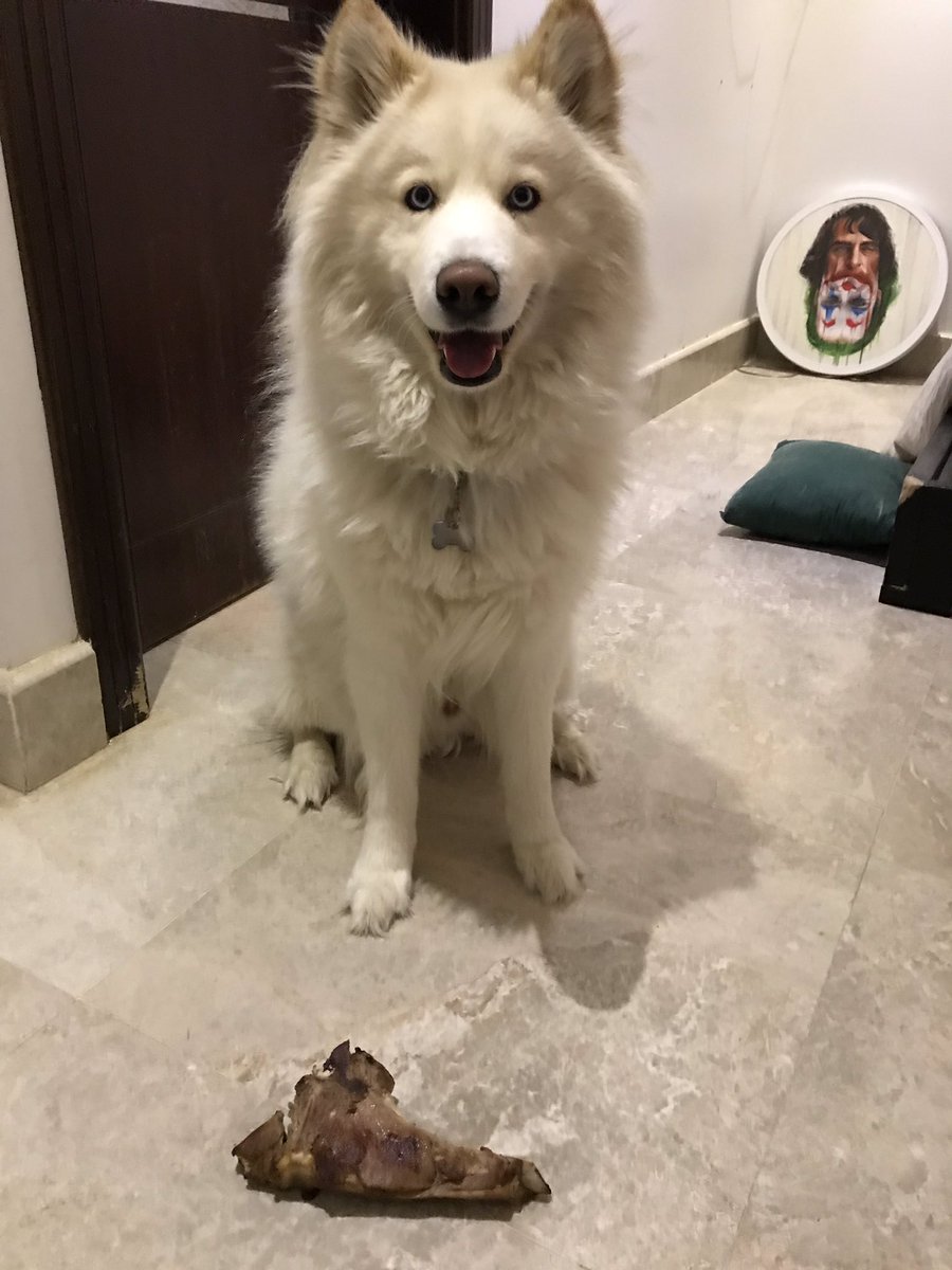 🆃-🅼-🅵 tweet media