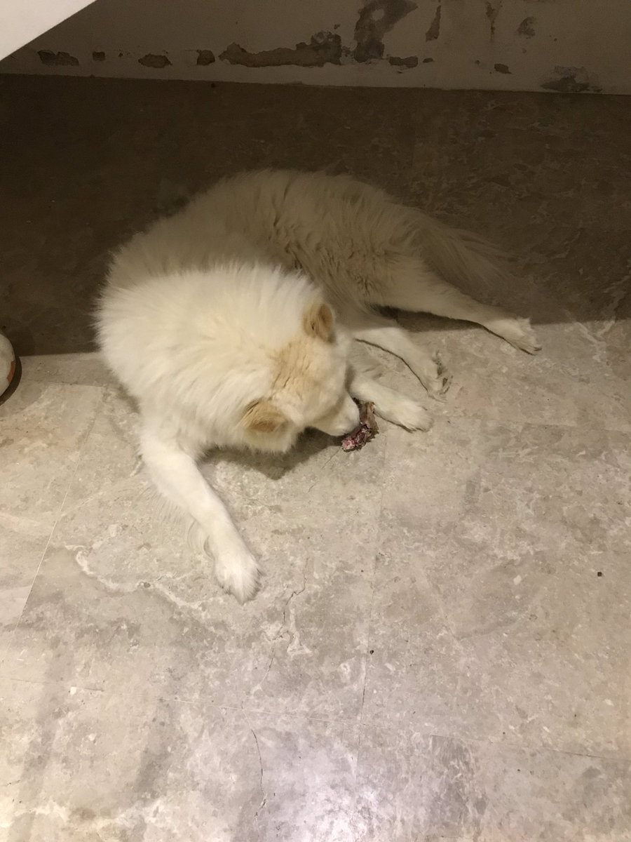 🆃-🅼-🅵 tweet media