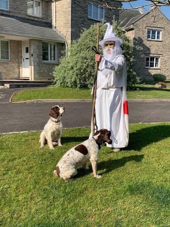 You shall not pass! Steve’s dog walk today  Great effort! Inc St George flag 