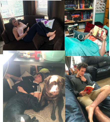 Hookmoore3's tweet photo. Only 1 semi #readingfort in the Moore house but many comfy #readingspaces.  It doesn’t matter where you read, just keep reading! Yep my oldest is a deep thinker! #CanadaBookDay #rvsed #rvslit @condrashoff27 @jvaillancourt55 @polhill44 https://t.co/bN85X9a4B1