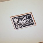 main image of this resource