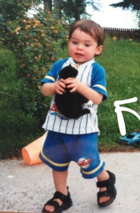 Nicole Andersen tweet media