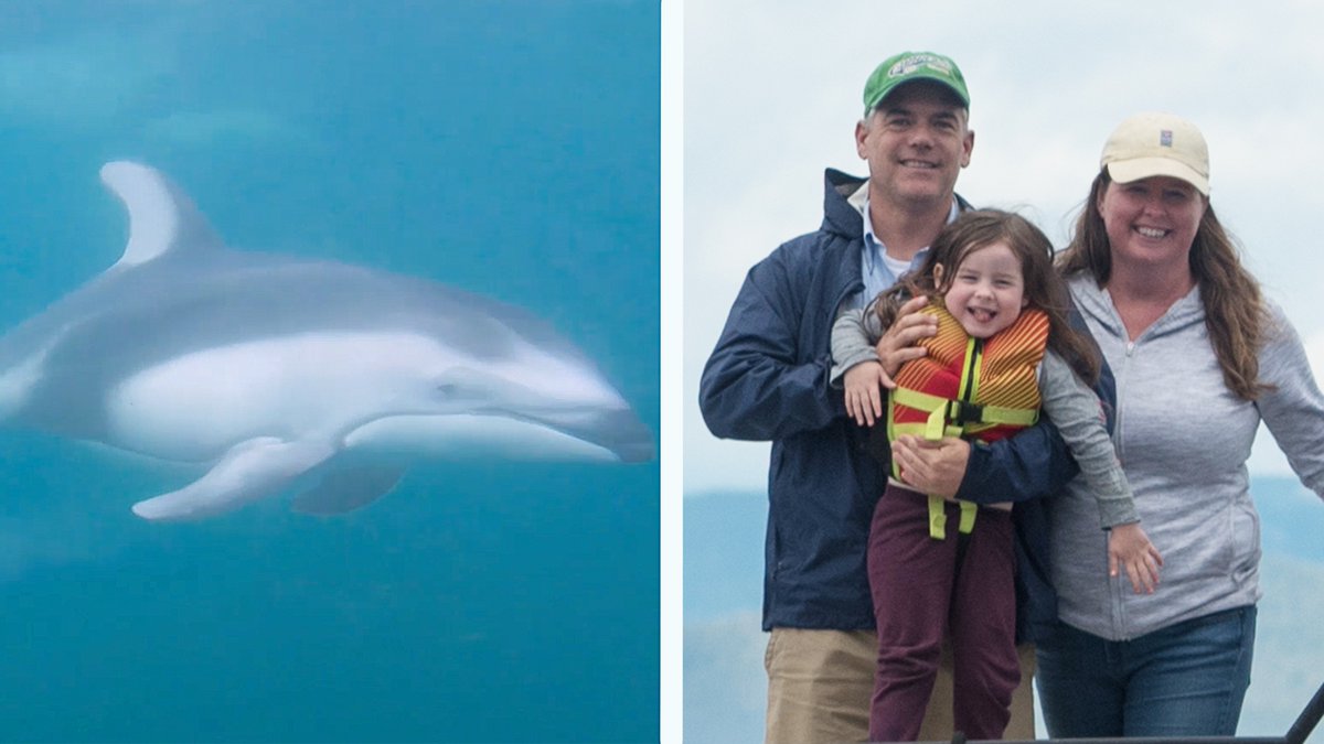 KellyClarksonTV's tweet photo. Scientist couple Erin Ashe &amp; Rob Williams run Seattle-based Oceans Initiative and livestream a Virtual Marine Biology Camp so adults and kids can learn something new at home! 

WATCH: https://t.co/PjpG2jZyoa

Share your stories using #HomeNotAlone — we’re all in this together! https://t.co/w1VY4FTj0Q