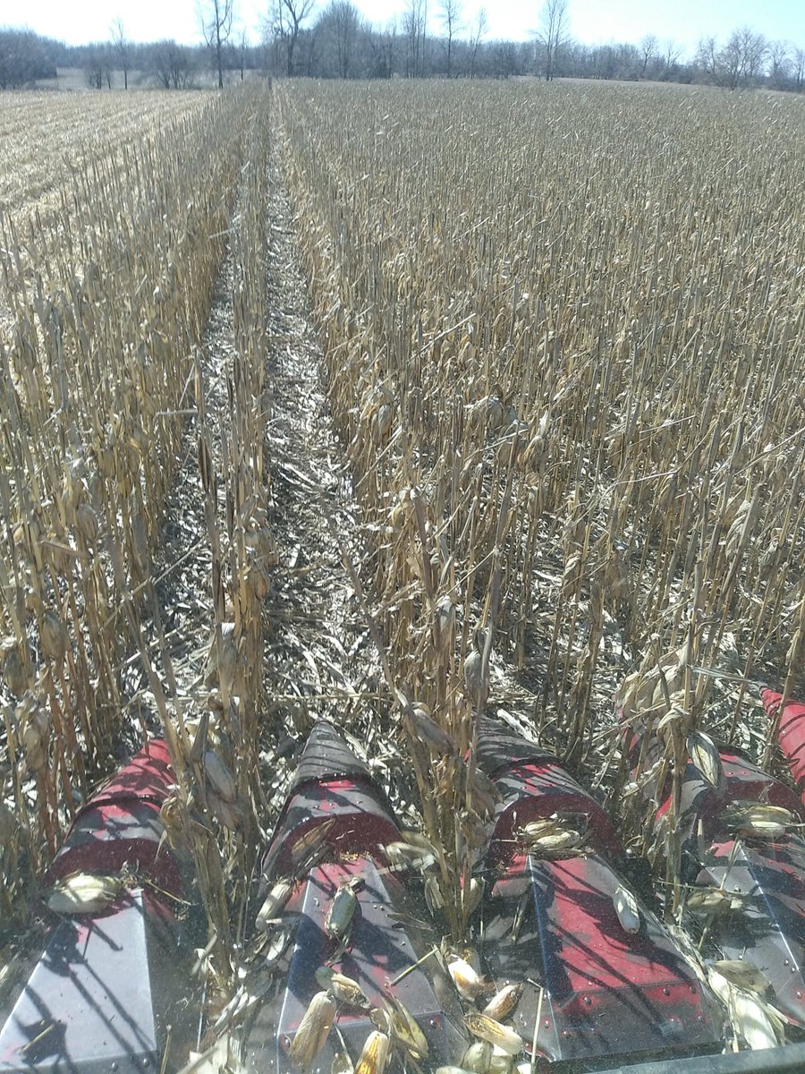 rip_vg's tweet image. That's it, that's all. #harvest19 is finally done. On to better things