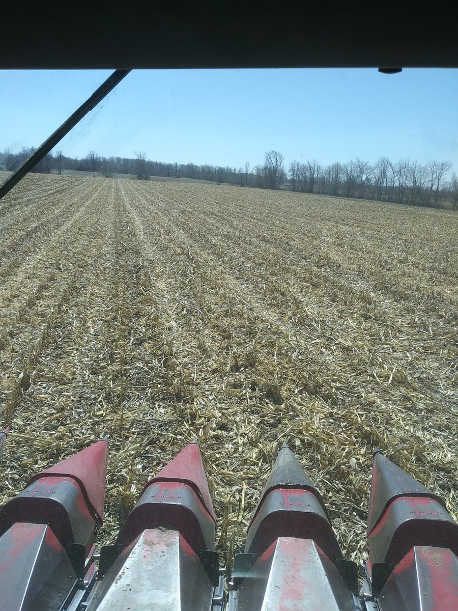 rip_vg's tweet image. That's it, that's all. #harvest19 is finally done. On to better things