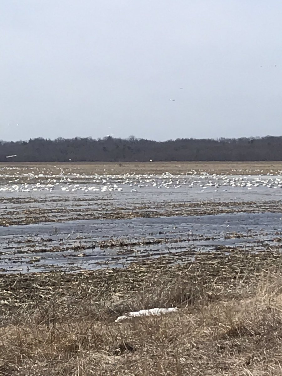 dputherbough's tweet image. Grand Bend Ontario #MyOldNormal