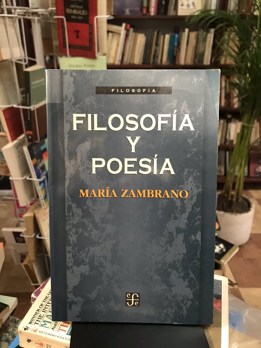 LibreMurcielaga's tweet photo. ZAMBRANO 🐍 #daimona #filósofa #genia 🕯 https://t.co/Hwou5DplPt