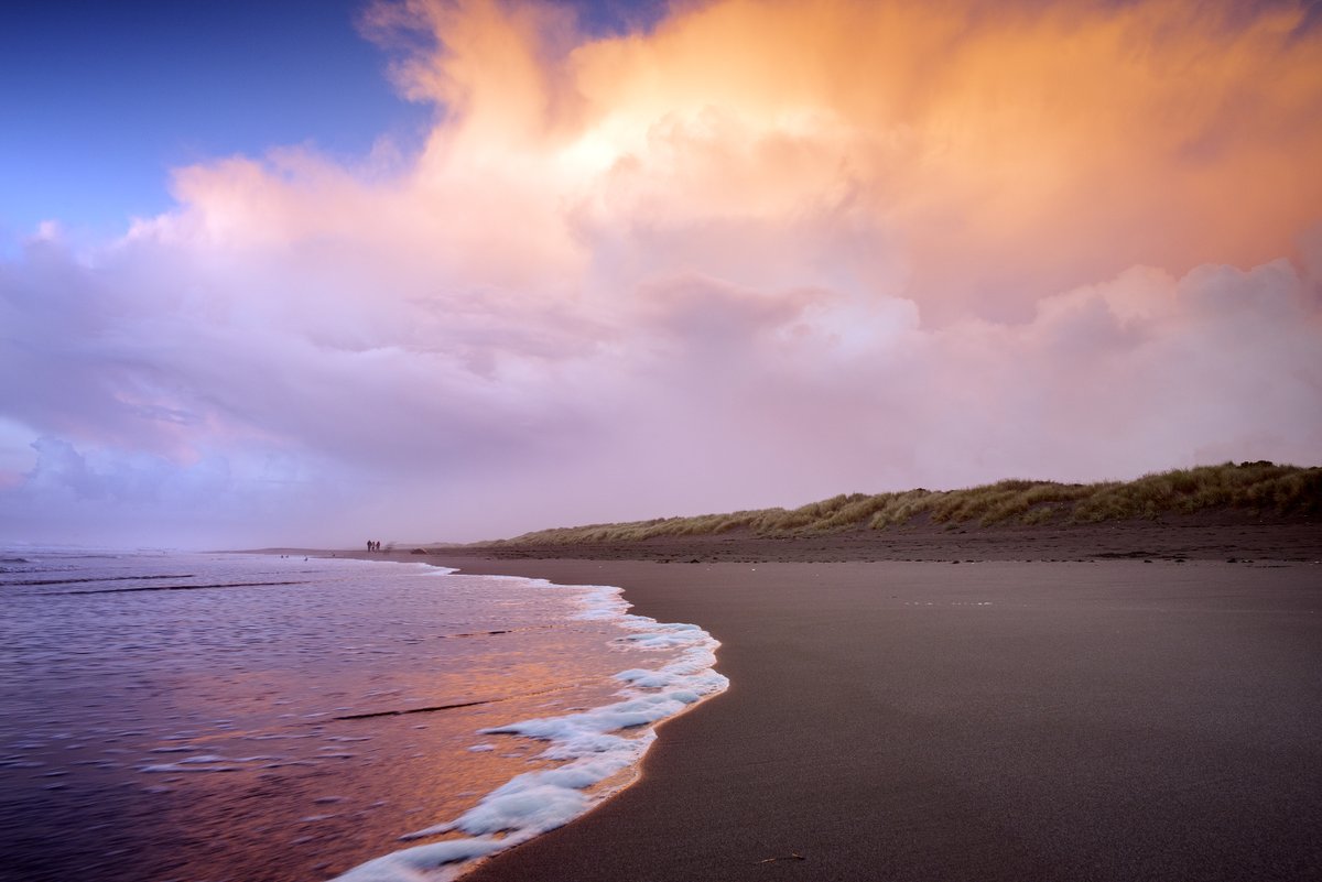 Forever Humboldt tweet media