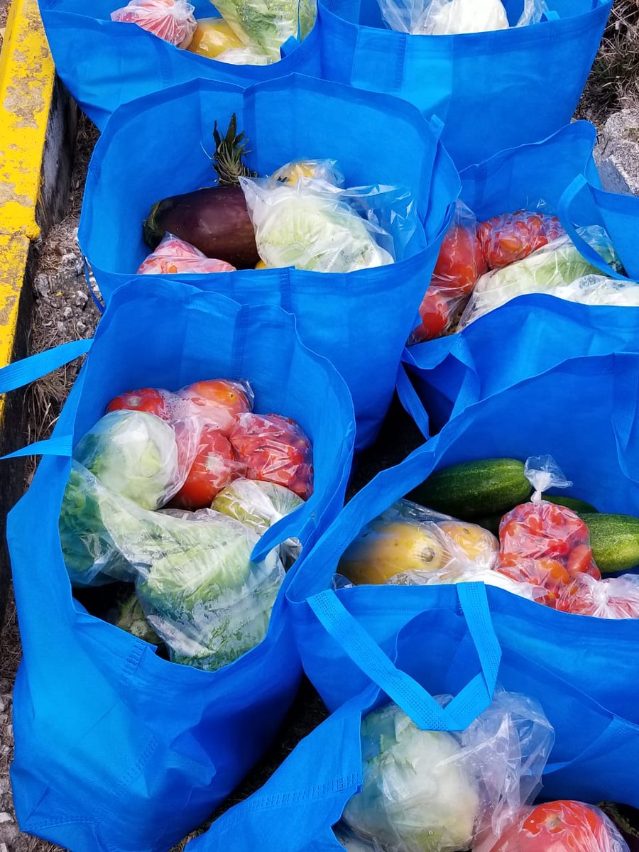 rada_jam's tweet photo. RADA has been working with our partners in support of our farmers by assisting with marketing of excess produce. The demand is great, but the public is being served gradually to avoid crowding. 
#SayYesToFresh
#buywithapurpose
#eatfresh
#micaf 
#rada_jm https://t.co/kxUvwFs8Wv