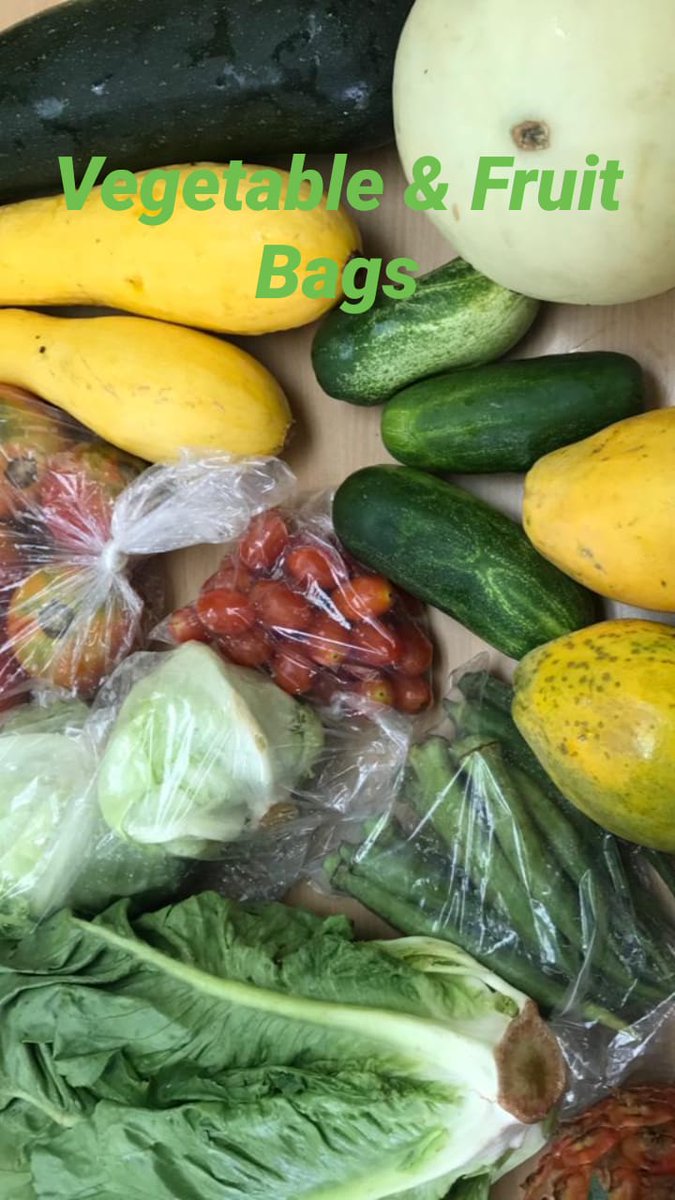 rada_jam's tweet photo. RADA has been working with our partners in support of our farmers by assisting with marketing of excess produce. The demand is great, but the public is being served gradually to avoid crowding. 
#SayYesToFresh
#buywithapurpose
#eatfresh
#micaf 
#rada_jm https://t.co/kxUvwFs8Wv