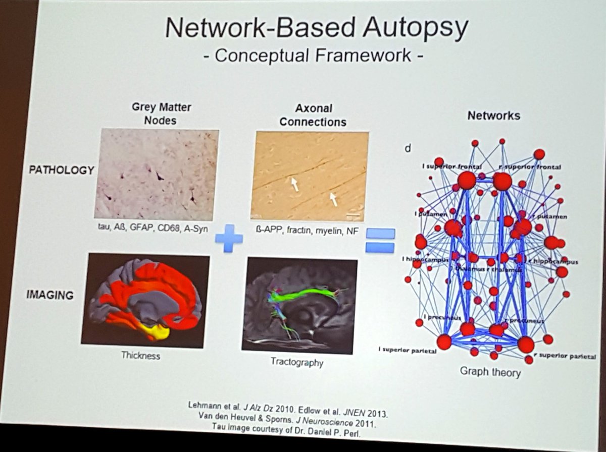 griz1's tweet image. Understanding networks underlying consciousness &amp;amp; coma using advanced imaging &amp;amp; detailed neuropathology at autopsy. @ComaRecoveryLab @MGHNeuroSci @N_A_B_I_S #abi2020 @AANMember @TheNewANA1 @neurocritical @PNCRGtweets #PedsICU 
Edlow et al JNEN 2013: bit.ly/3bjBUJU