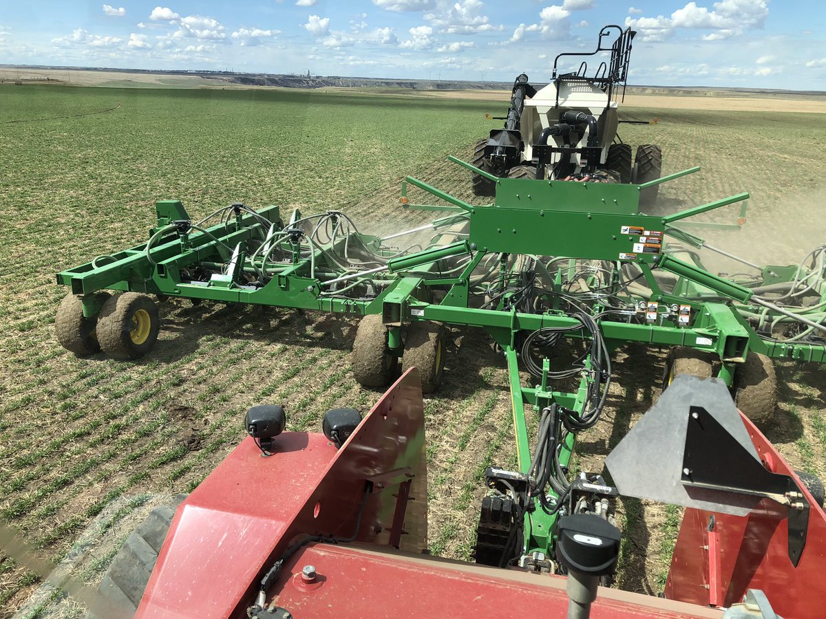 And it starts.   Fall Rye looking good after winter and spring grazing.  Little fertilizer and water and it will be silage before long.  #sgrpics