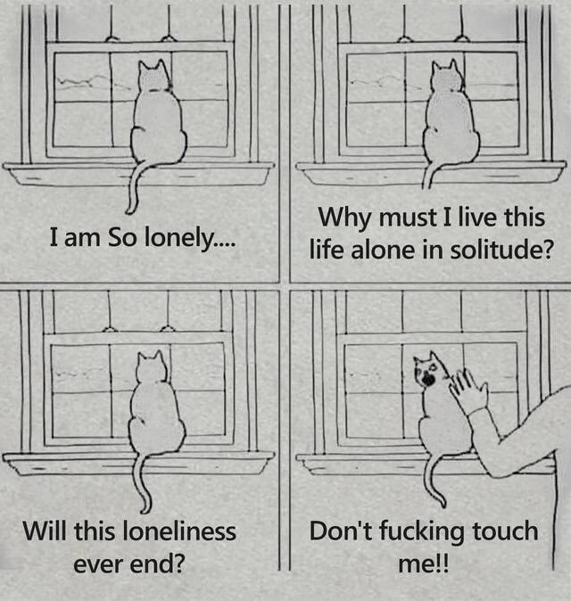 𝑀𝑒𝑟𝑐𝑒𝑑𝑒𝑧 (@anau3l) on Twitter photo 