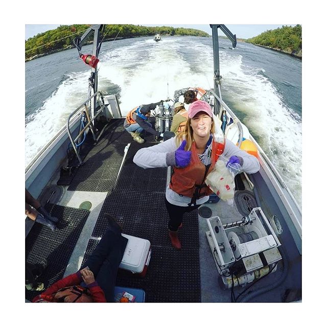 Just thinking about all of the other times in my life I've worn personal protective equipment (PPE), which included sanding old sealant off whale bones, cleaning tanks of biofouling with hydrochloric acid, collecting…

📸 instagram.com/p/B_V8aAcFh5A/ via tweet.photo