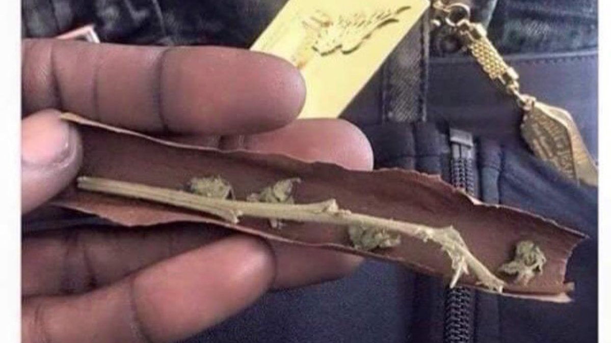 If 2020 was a blunt, it'd look like this
