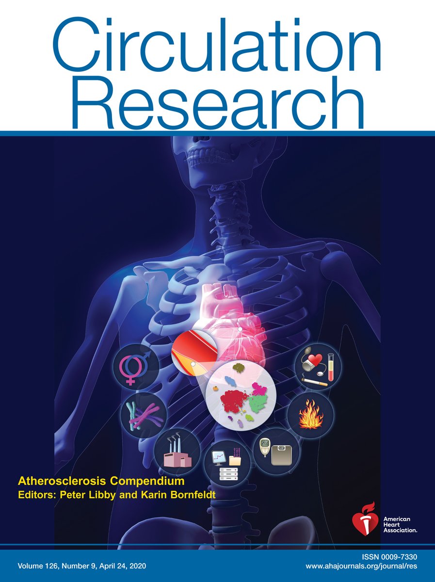 <a href="/CircRes/">Circulation Research</a> Atherosclerosis Compendium is Out!

In this issue, you’ll find 13 review articles dedicated to various aspects of #atherosclerosis!

Visit this compendium at ow.ly/N7LJ30qzTdd