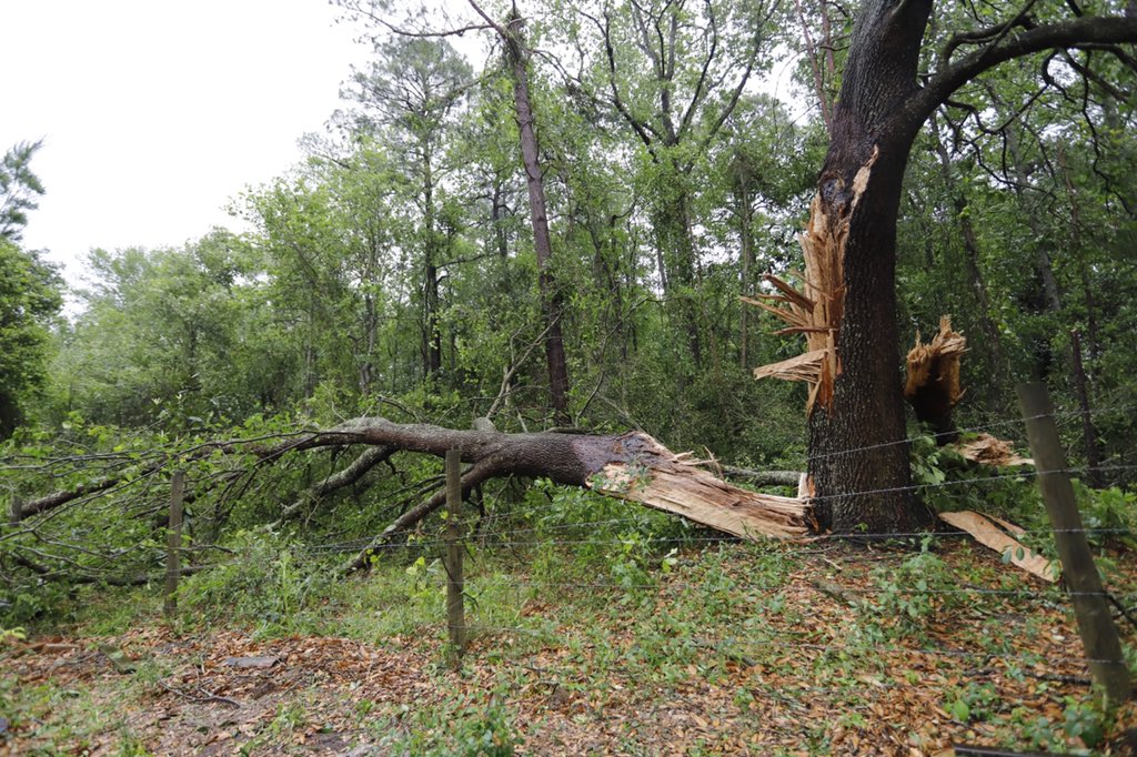 ConnerSelph's tweet image. 