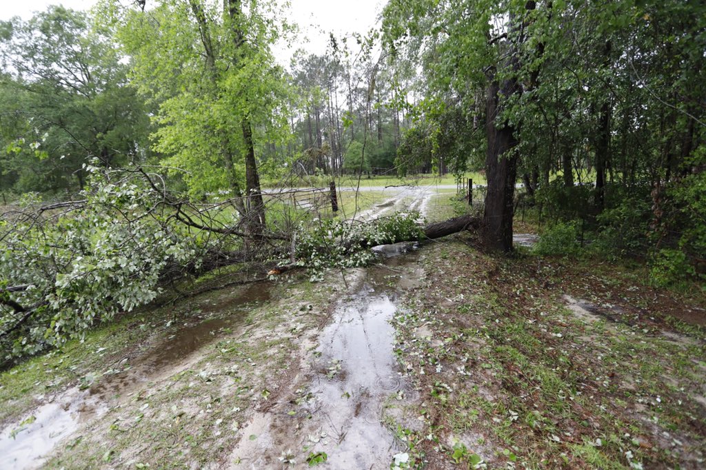 ConnerSelph's tweet image. 