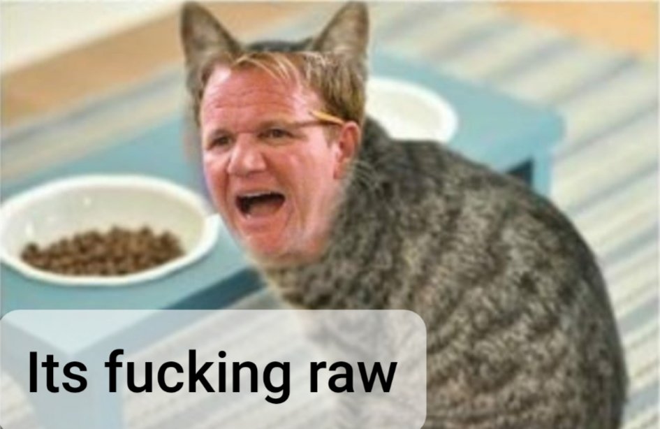 Varun4_'s tweet photo. My cats reaction when my broke ass buys the off brand cat food: https://t.co/bYQ0tFoaS8