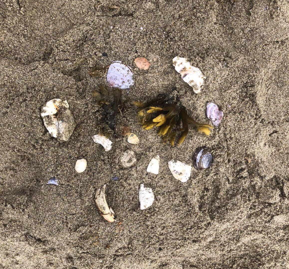 Students in @VSB39 Roberts Division 15 and 22 brought their classroom outdoors and tapped into their inner artist to create these stunning pieces of nature art for Earth Day yesterday. #nature #creativity #artist #outdoorschool #PlanetEarth  #westend #lovenature