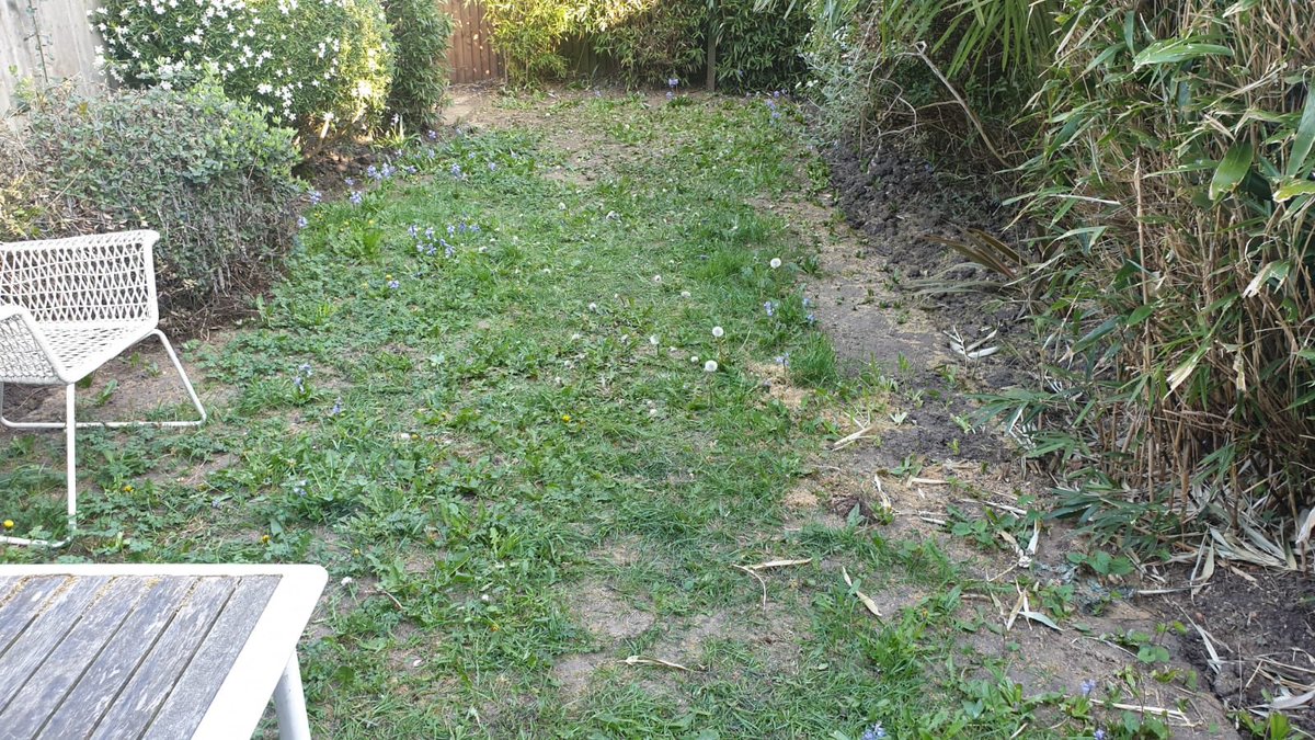 EverBladesGrass's tweet photo. Today’s job in Queens Park, NW6. Before pic taken at 8am, after pics taken at 4pm. Look how your garden can be transformed in 1 day.
Installation of lush Capardo 38mm artificial grass.
We can socially distance while we work so please contact us for a free quote. https://t.co/8fBH6CK73k