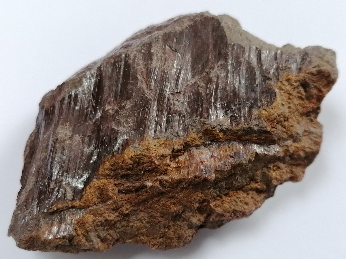 Marcusiform's tweet photo. Random nice rock found recently https://t.co/wOEhLxOGjj