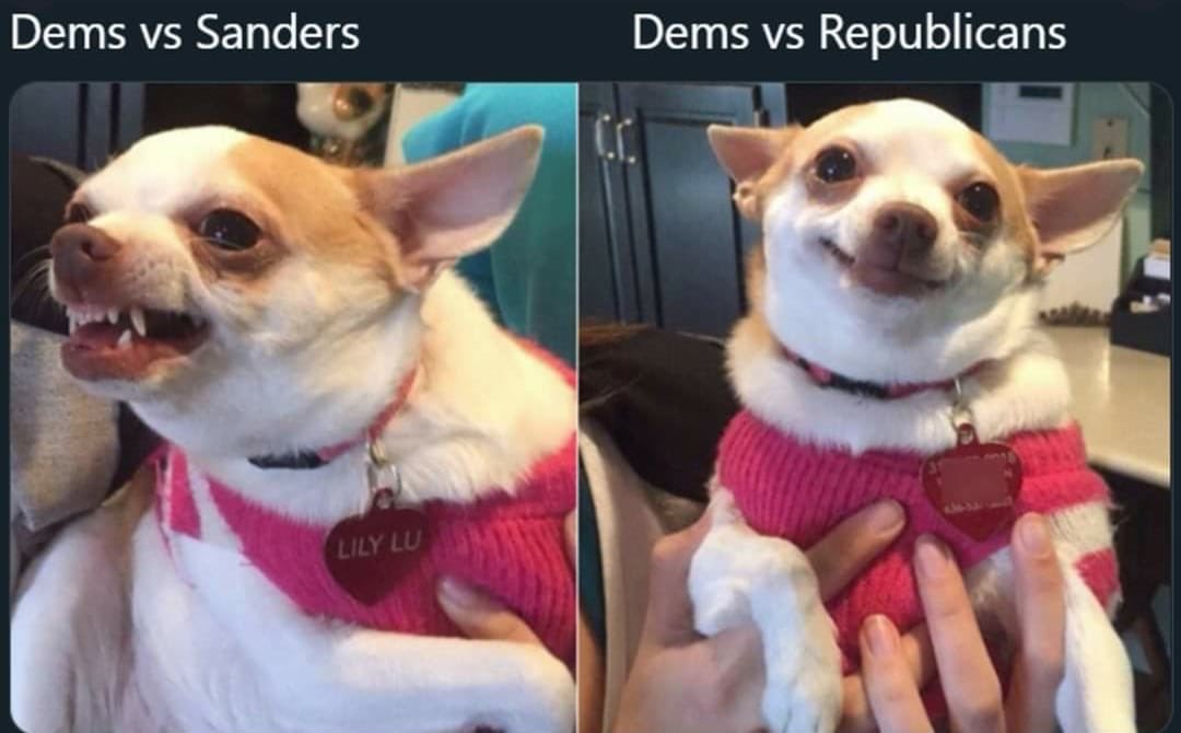 BenjaminPDixon's tweet image. Prove me wrong