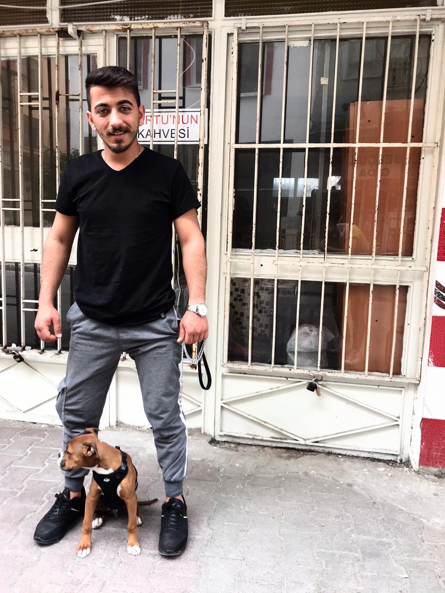 Ulaş Selçuk (@ulasselcukk) on Twitter photo 