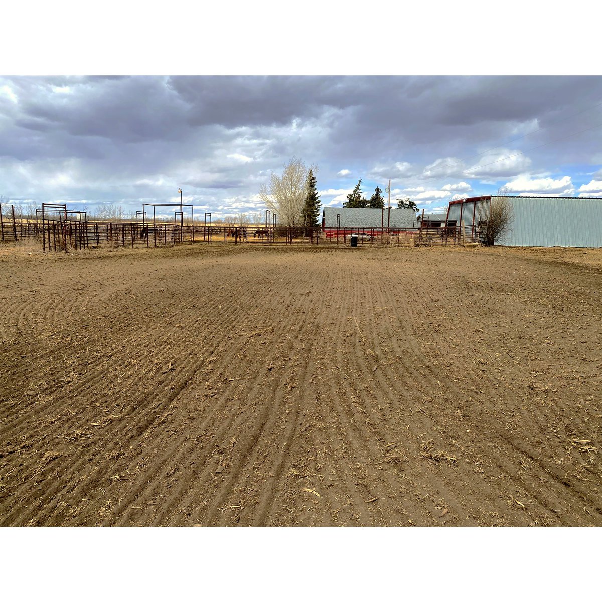 Shelby_Bushnell's tweet photo. It probably doesn’t look like much but this arena took me 2 days of harrowing , rock picking &amp; weed pulling &amp; im so freaking proud rn https://t.co/0kMoc4nixq