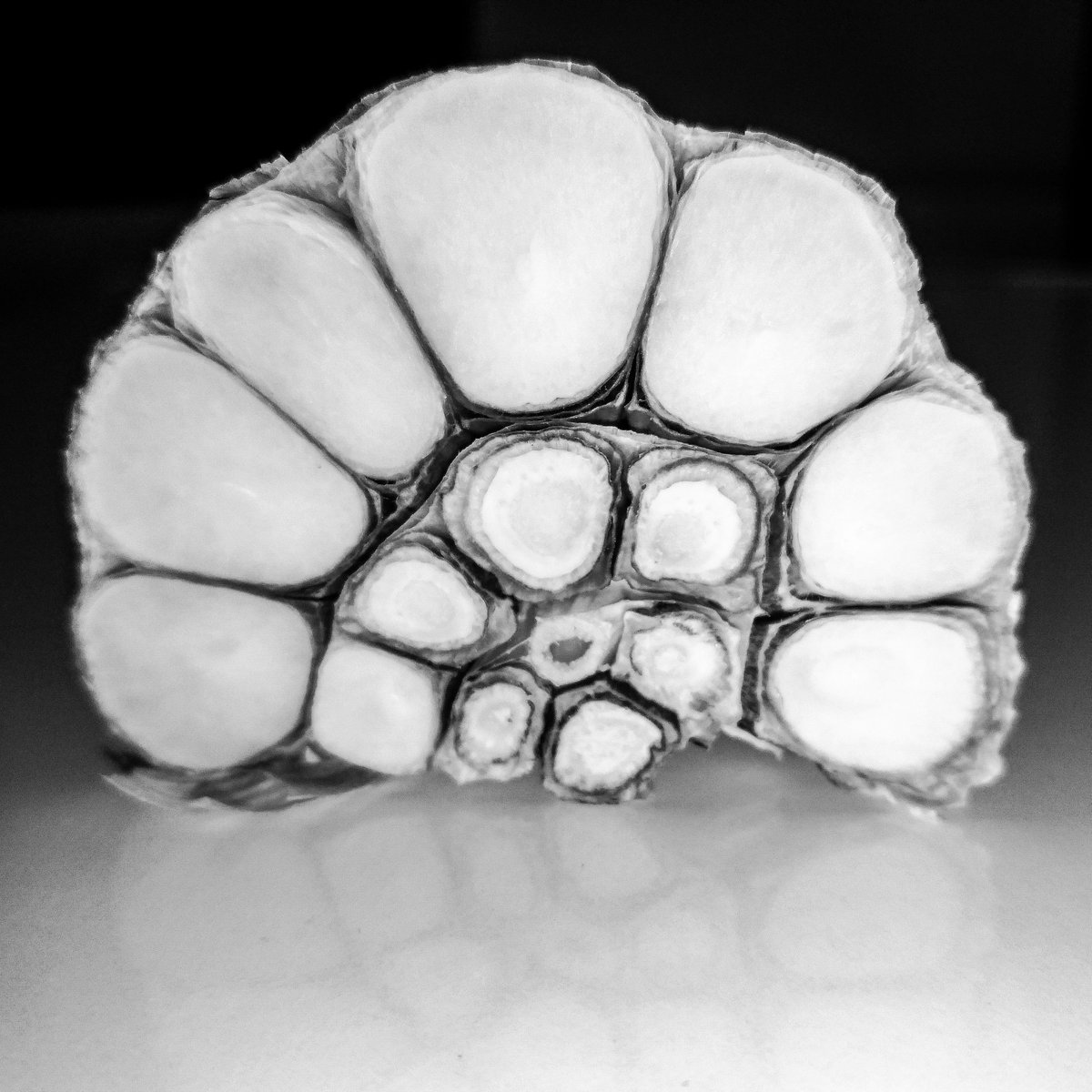 #Remedium #mobilephotography #photography #fotografia #blackandwhite #conceptualart #art #architecture #nature #noiretblanc #monochrome #czosnek #traveling #visitwroclaw #minimalism #bnw_captures #bnw_contrast #500px #macrophotography #design #abstractart #garlic #surreal