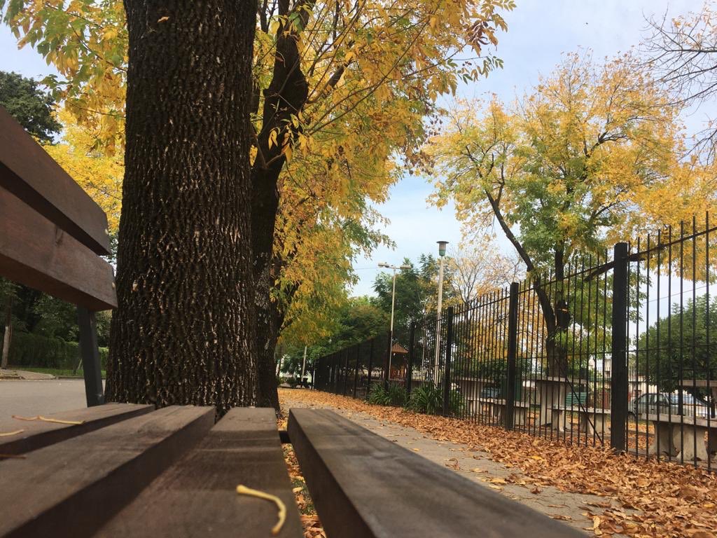 PilarVisita's tweet photo. Otoño 🍂 en la Plaza de los Niños. Pronto vamos a poder disfrutarla otra vez. Ahora #QuedateEnCasa https://t.co/DqLDaJmoFJ