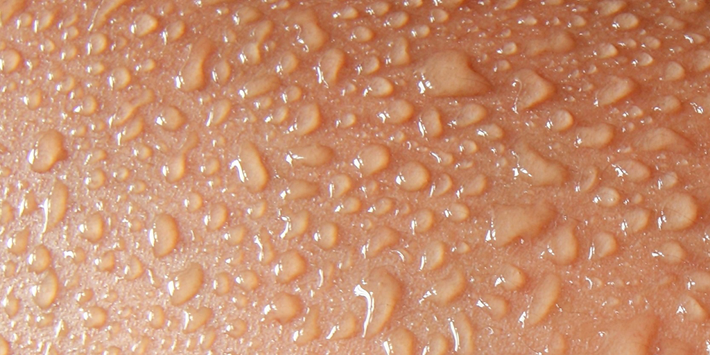 rewirewater's tweet photo. Did you know it’s a myth that drinking water keeps skin hydrated? Dermatologists find #skinhydration is best achieved topically. Our favorite topical hydration? #rewirehydration in a spray bottle in the fridge for a daily topical spritz. Our plants like it too. #rewireyourskin https://t.co/17sCt4ss0w