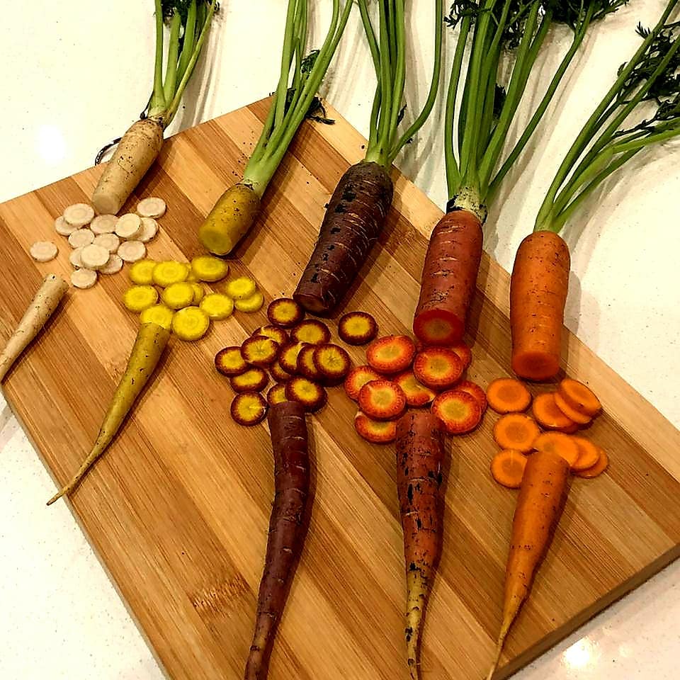 Rainbow carrots for our Rainbow nation! Experiment looking good! #farming #agriculture #healthyfood #sustainable #carrots #langplaas #southafrica