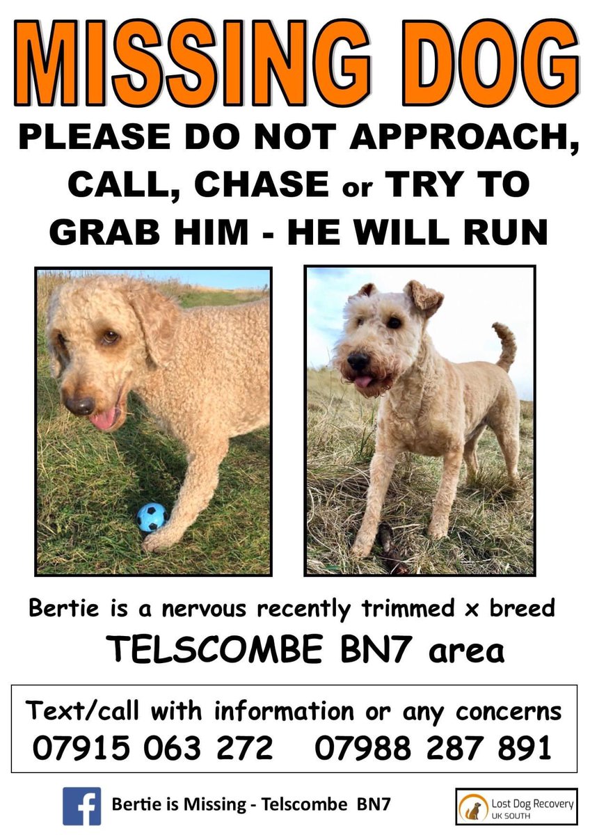 If you live in Telscombe village or Cliffs Peacehaven Rottingdean and Saltdean Please can you RT ? You will help a NHS hospital doctor who has just finished a long shift and is out searching for his lost dog 💔 #clapforcarers