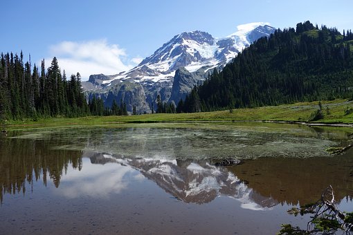 GibbsPSA's tweet photo. Mount Rainier is in the finals - VOTE! 
@king5seattle @michellelitv #K5Spring @Seattletimes @nwtravelers @davidlgutman @tacomablogs @KOMONews @MollyShenKOMO #KOMONews @SeattlePI @joelconnelly @KIRO7Seattle @MichelleKIRO7 @KIRO7Seattle @KnuteBerger @crosscut https://t.co/EOtMDCcZEu