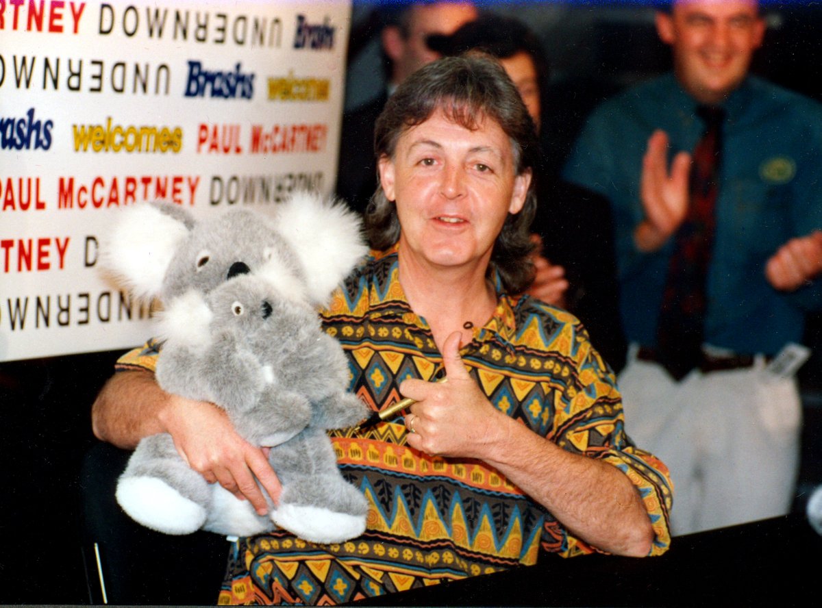 paul with toy koalas 