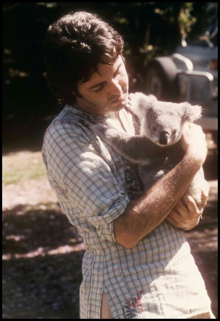 paul with real koalas