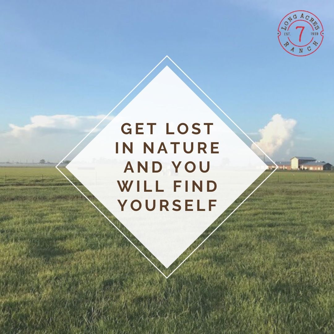 Long Acres Ranch tweet media