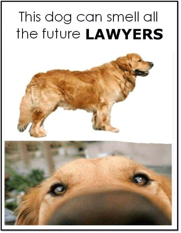 LAWmavan's tweet photo. It is that season once again. Praying for my friends and batchmates who took the 2019 bar. 🙏 Be the best lawyer money can't buy, future pañeros and pañeras! #BernaBar https://t.co/BcaOcdHZSa