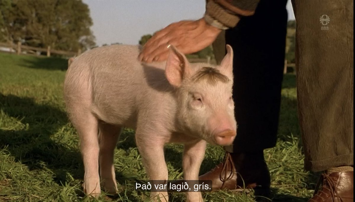 Þegar ég fer út að hlaupa: